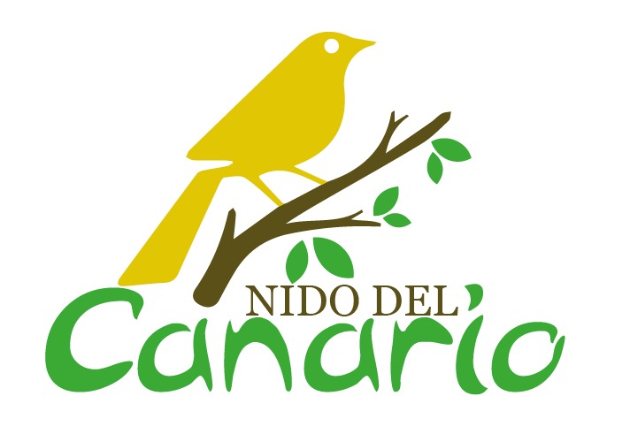 Nido del Canario